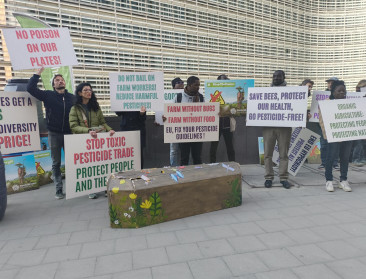 Ngo's eisen onmiddellijke stopzetting van export van in Europa verboden pesticiden