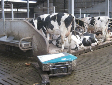 Nederland weet wat het moet doen voor derogatiebehoud