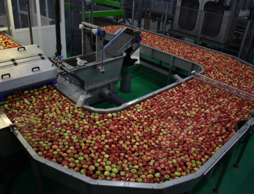 BelOrta opent nieuw sorteercentrum met “technologische primeur” voor 60.000 ton hardfruit