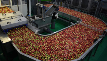 BelOrta opent nieuw sorteercentrum met “technologische primeur” voor 60.000 ton hardfruit