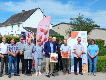 Campagne met gratis aardbeien promoot korte keten in Vlaams-Brabant