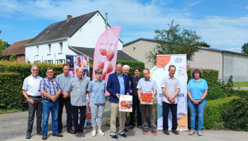 Campagne met gratis aardbeien promoot korte keten in Vlaams-Brabant