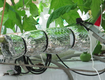Leuvense leerlingen aan de slag met plantensensoren