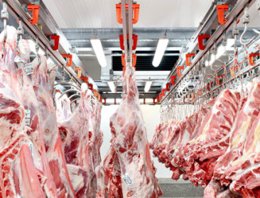 Ducarme teruggefloten in dossier slachthuis Geel