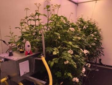Uitvinding draagt bij tot moestuinieren in de ruimte
