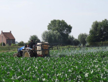 44,5% gangbare landbouwproducten bevatten residu's