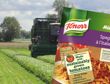 Unilever wil enkel nog duurzaam geteelde grondstoffen