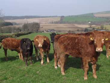 Britten houden steeds meer van hun landbouwers