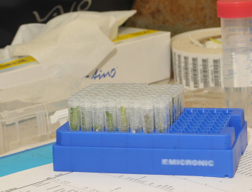 "Regering bespaarde en FAVV controleerde minder"