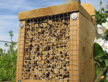 VN maakt onrustwekkende balans op voor bestuivers