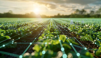 Projecten Interreg rond bodemzorg, AI en robotica versterken grensregio