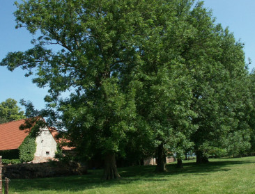 234 groene erfgoedparels in Zwalm