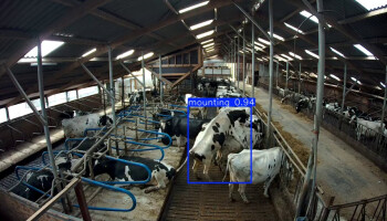 Groep boeren ontwikkelt AI-tool voor tocht en afkalfdetectie melkvee