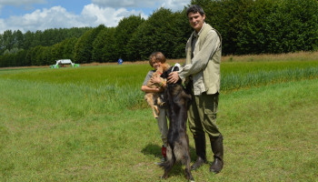 Terugblik op 5 jaar agro-ecologisch proefplatform: "Elk bedrijf wint erbij"
