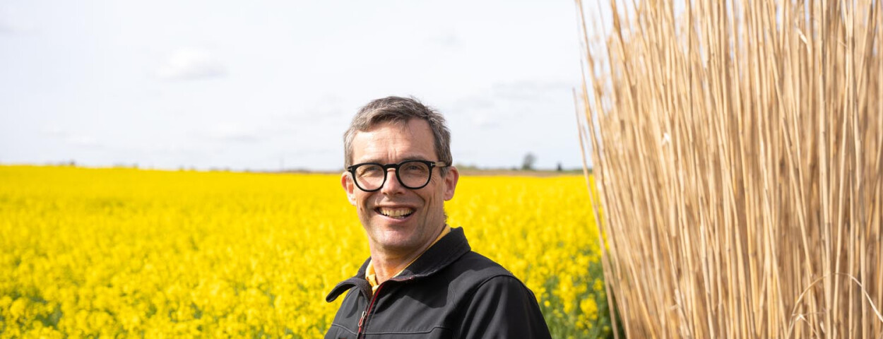 Peter Coucke Miscanthus en Koolzaad