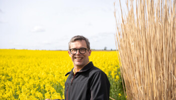 Miscanthus als brandstof: “Veruit mijn beste teelt nu”