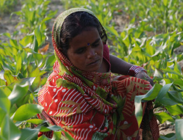 EU hervat gesprekken met India over vrijhandelsakkoord