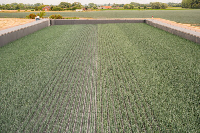 hydroprei inagro
