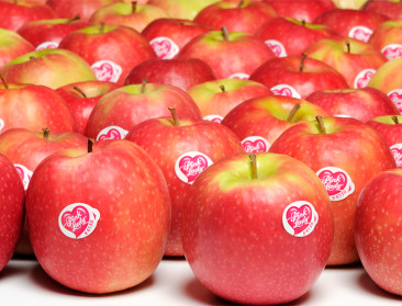 "Pink Lady beschadigt onze economie en ons klimaat"