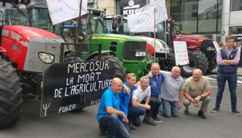 10.000 boeren trekken naar Brussel tegen Mercosur, maar hoe groot is de bedreiging nu echt?