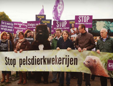 Nederlandse nertsenkwekers vangen bot bij cassatie