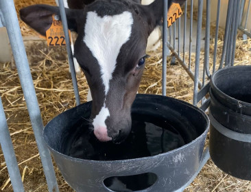 Onderzoek naar accuratere waterverbruikscijfers kan hulp bieden bij grondwatervergunningen