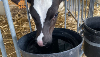 Onderzoek naar accuratere waterverbruikscijfers kan hulp bieden bij grondwatervergunningen