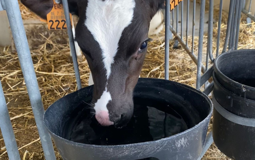 Onderzoek naar accuratere waterverbruikscijfers kan hulp bieden bij grondwatervergunningen