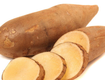 Voor het eerst yacon geveild in Roeselare