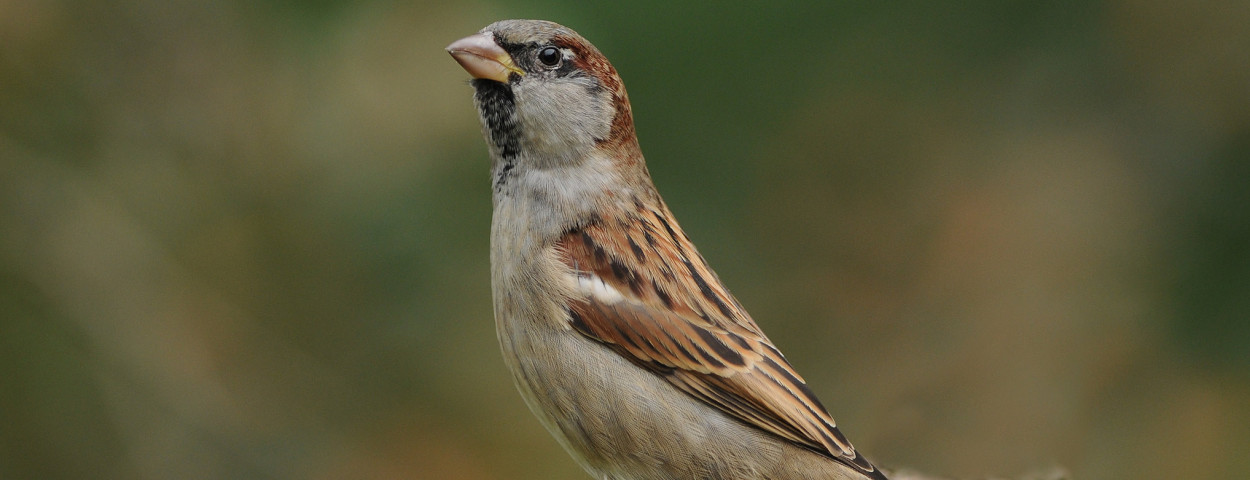 39962399861_a22333ec34_k