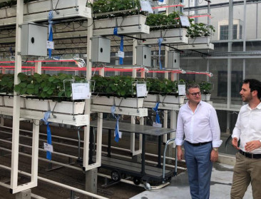 1,7 miljoen euro VLIF-steun voor praktijkonderzoek