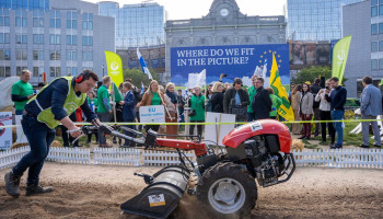 Van opluchting tot ontgoocheling: fiat natuurherstelwet lokt uiteenlopende reacties uit
