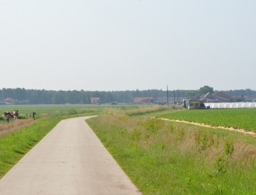 "Snellere natuurwinst dan verwacht met ruilverkaveling"