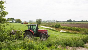 Antwerpen gaat voor bottom-up aanpak in droogtebestrijding