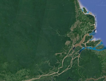 Brazilië heft bescherming op deel Amazonewoud op