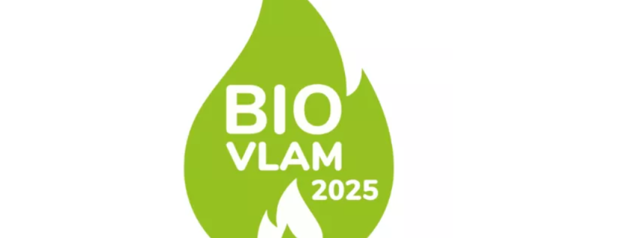 VLAM-BioVLAM