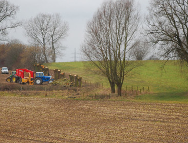 Colruyt verbreedt focus van bedrijfsstichting naar voeding en duurzame landbouw