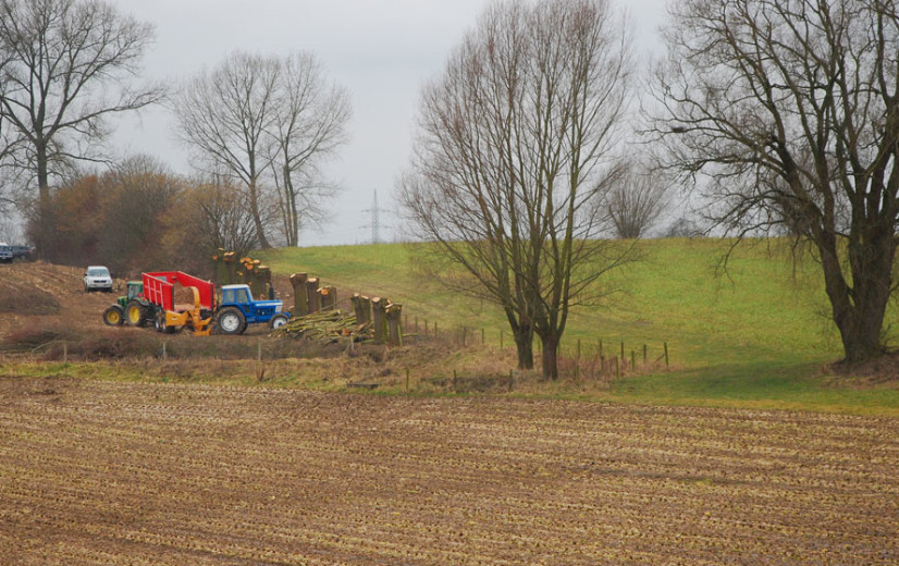 Colruyt verbreedt focus van bedrijfsstichting naar voeding en duurzame landbouw