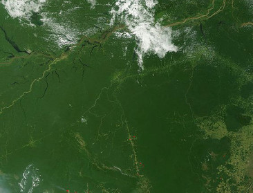 "Amazonewoud lijdt in politiek instabiel Brazilië"