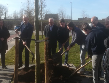 Boomplantdag wil belang van bomen in kijker zetten