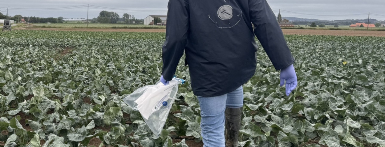 grote-kemmelbeek-oxamyl-vervuiling-crop