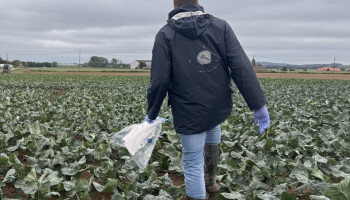 Verboden middel oxamyl teruggevonden op landbouwpercelen bij  Grote Kemmelbeek