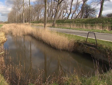 Waterinfo.be geeft live verziltingsresultaten