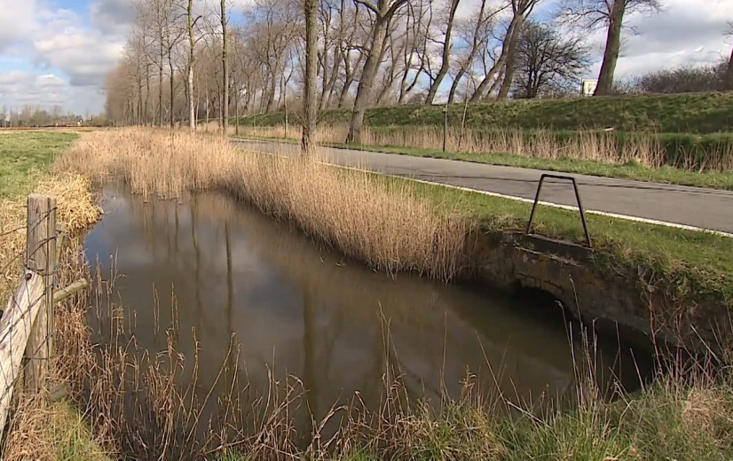 Waterinfo.be geeft live verziltingsresultaten