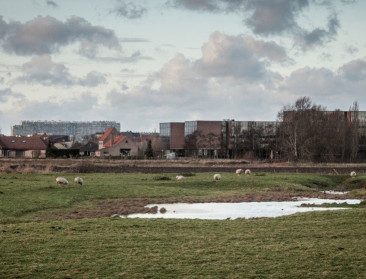 Natuurorganisaties clashen met hervormingsvoorstel vergunningenbeleid en verlaten klankbordgroep