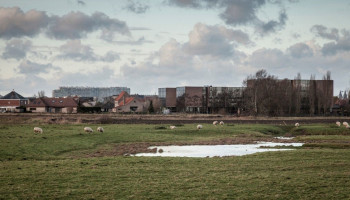Natuurorganisaties clashen met hervormingsvoorstel vergunningenbeleid en verlaten klankbordgroep