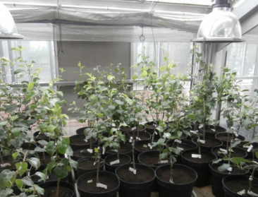 Onderzoekscentrum CRA-W op vingers getikt door Rekenhof