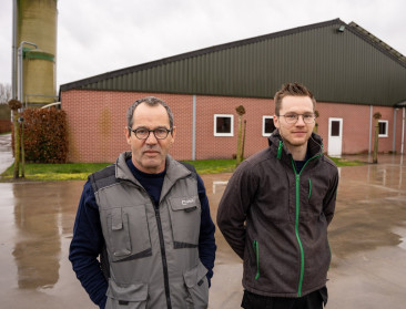 Pluimveehouders uit Weelde getroffen door vogelgriep: “Dit is het ergste wat je kan overkomen”