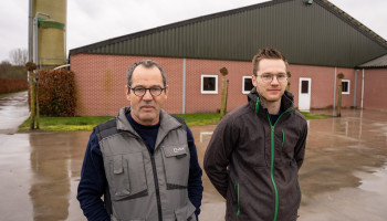 Pluimveehouders uit Weelde getroffen door vogelgriep: “Dit is het ergste wat je kan overkomen”