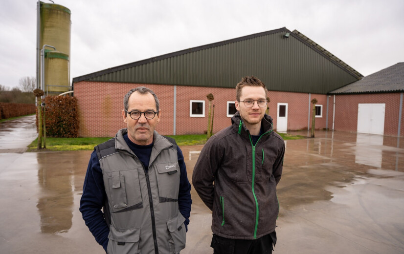 Pluimveehouders uit Weelde getroffen door vogelgriep: “Dit is het ergste wat je kan overkomen”